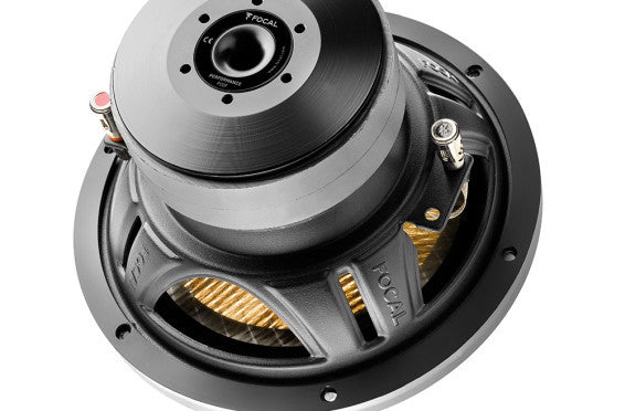 Focal SUB P 20 F 8