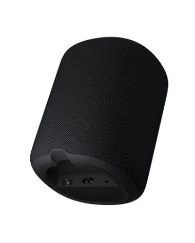 WiiM Sound Smart Speaker